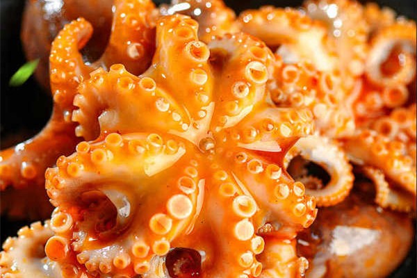 章鱼怎么去腥味 章鱼要煮多久才熟