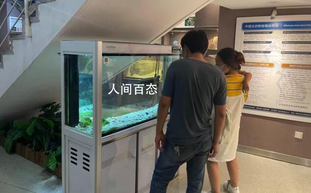 中国古动物馆鳄雀鳝咬伤游客 目测伤口有5厘米至8厘米
