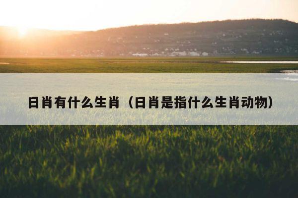 日肖是指什么生肖动物 日肖有什么生肖